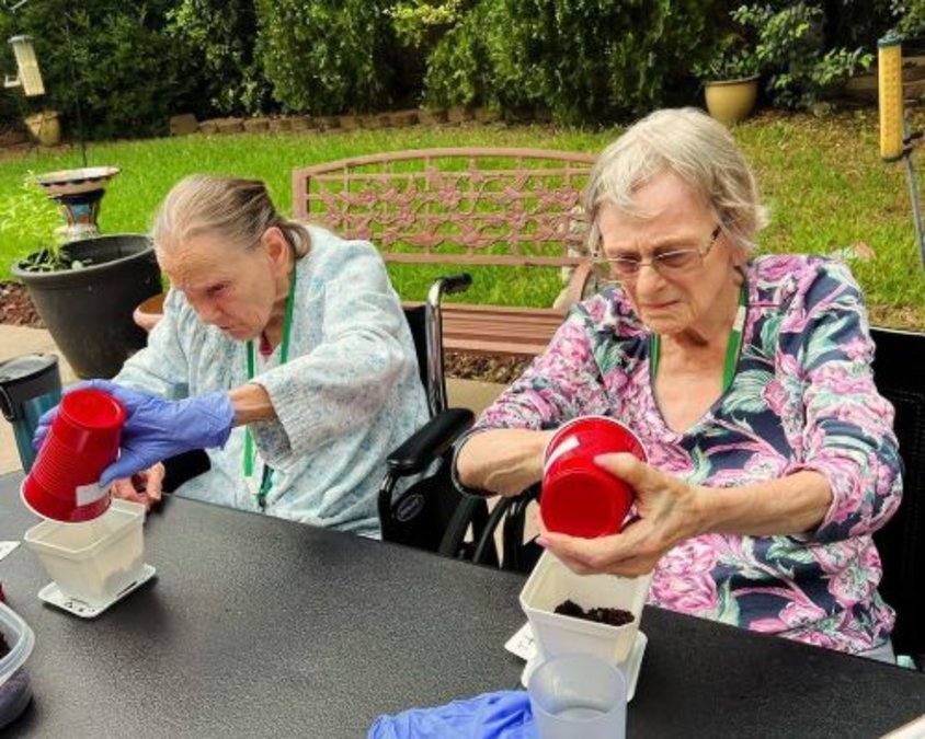 Blossom Care Assisted Living