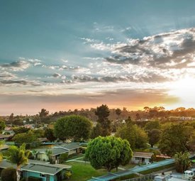 Wesley Palms