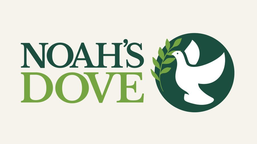Noah's Dove