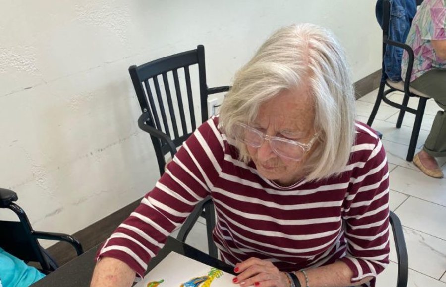 Seasons Alzheimer's & Assisted Care - Old Tezel Road
