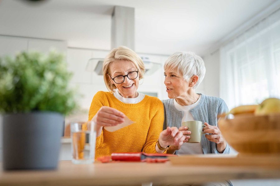 Seniors Helping Seniors Manatee Sarasota
