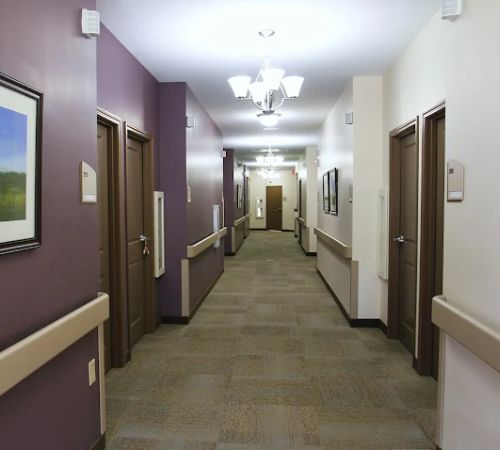 Spring Arbor of Steele Creek