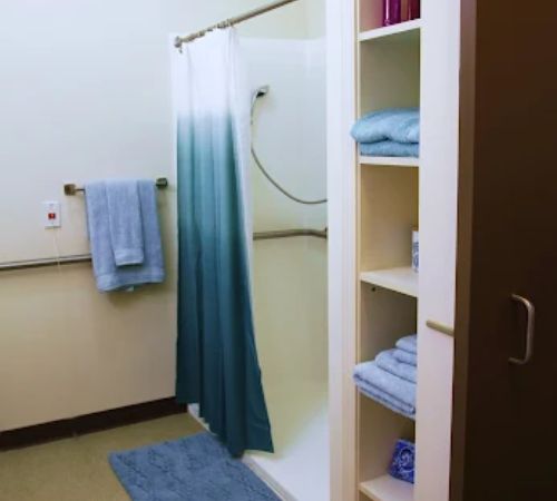 Spring Arbor of Steele Creek