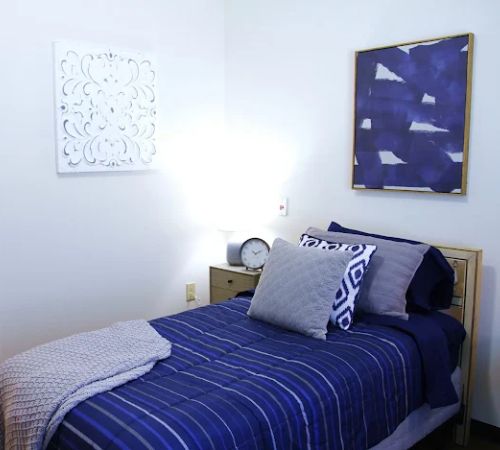 Spring Arbor of Steele Creek