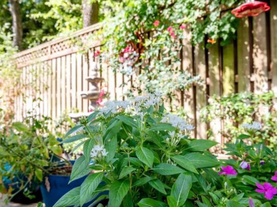 The Reserve at Braeswood