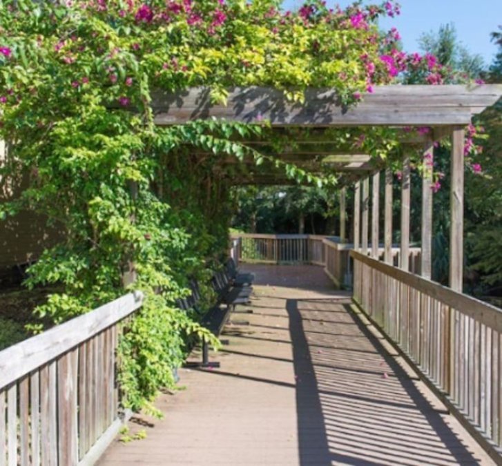 Blue Palms Village at Fletcher