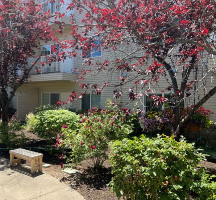 Aspen Ridge Premier Retirement & Assisted Living