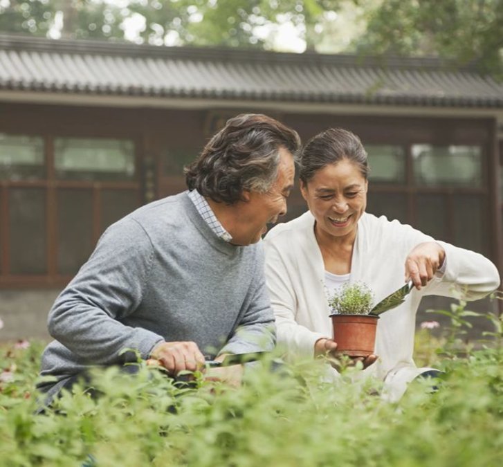 Paradise of North Valley