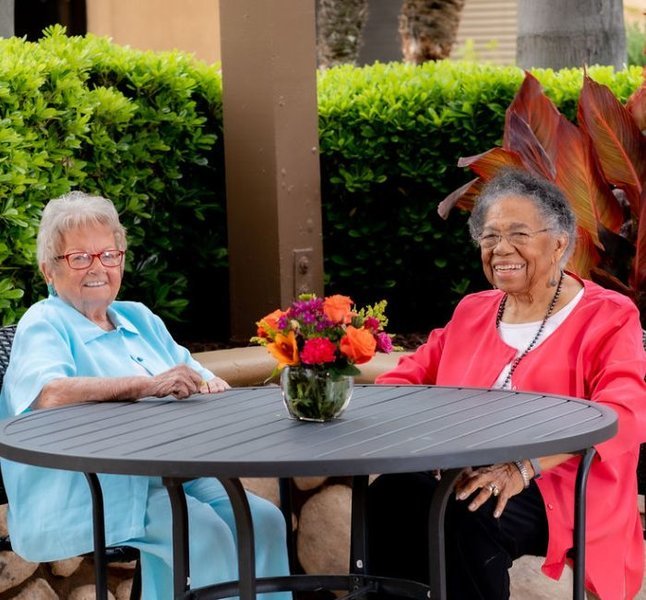 The Village Healthcare Care