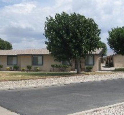 Halter Haven