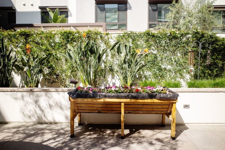 Watermark Laguna Niguel