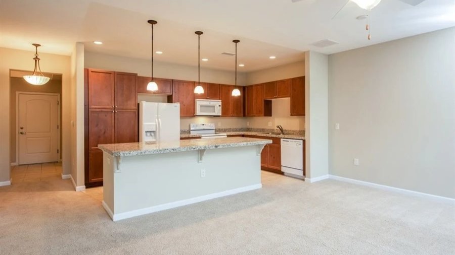 The Pines of Dayton Place