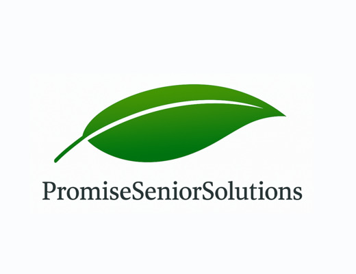 Promise Senior Solutions - San Antonio, TX