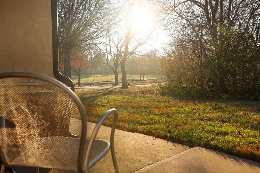 Tranquil Grove at Rotary Park