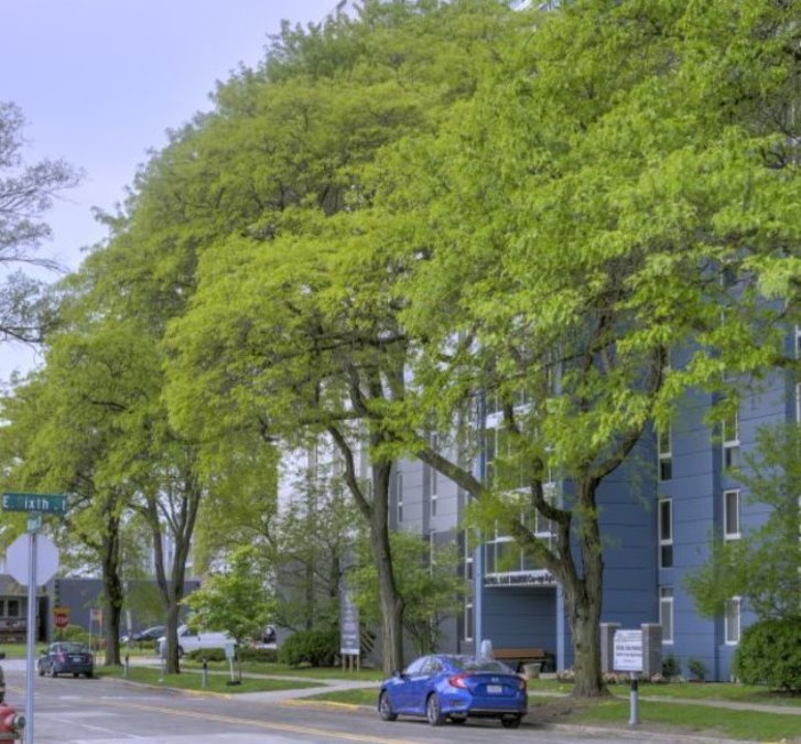 Royal Oak Manor Co-op