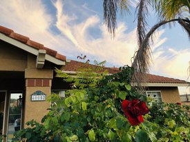 Green Merrylands Murrieta Home