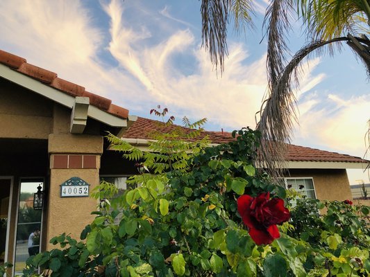 Green Merrylands Murrieta Home