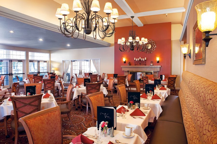 Ivy Park at Livermore