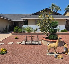 Advantage Care Facility