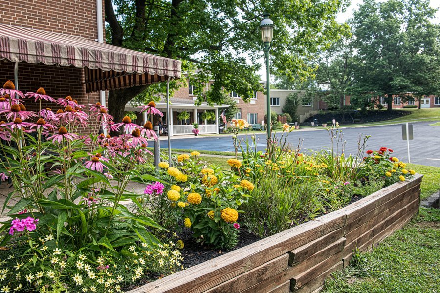 Orchard Brooke Assisted Living