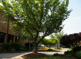 Bridgeway Care and Rehabilitation Center at Bridgewater